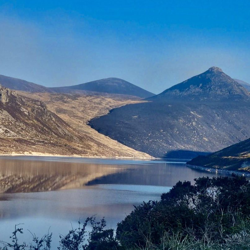 Steven morgan tweet media