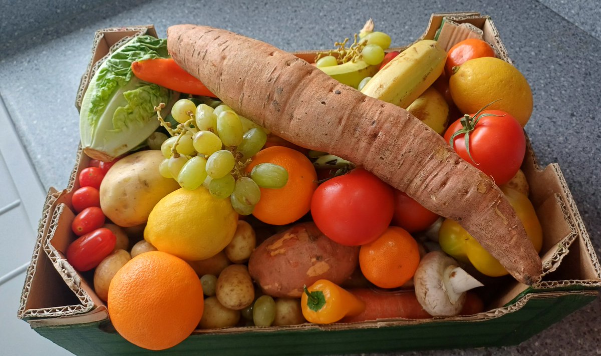 dazmoll's tweet image. Β£1.50 veg boxes @LidlGB are just brilliant! Going to cook up a feast with all these goodies!