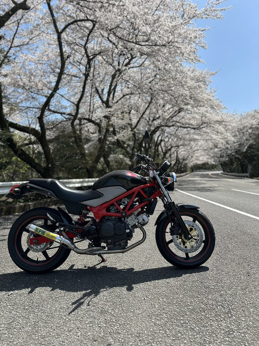 ema_0813's tweet photo. 年明け初ツーリング🌸

#VTR250
#ターンパイク岩田 https://t.co/Gpdp746F00