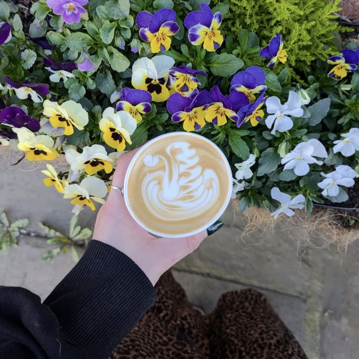 Recent_Coffee's tweet photo. There’s no better way to start the day🌼☕️
.
.
.
#recent #recentcoffee #recentcoffeeroasters #recentbeans https://t.co/1mj9MvedCN