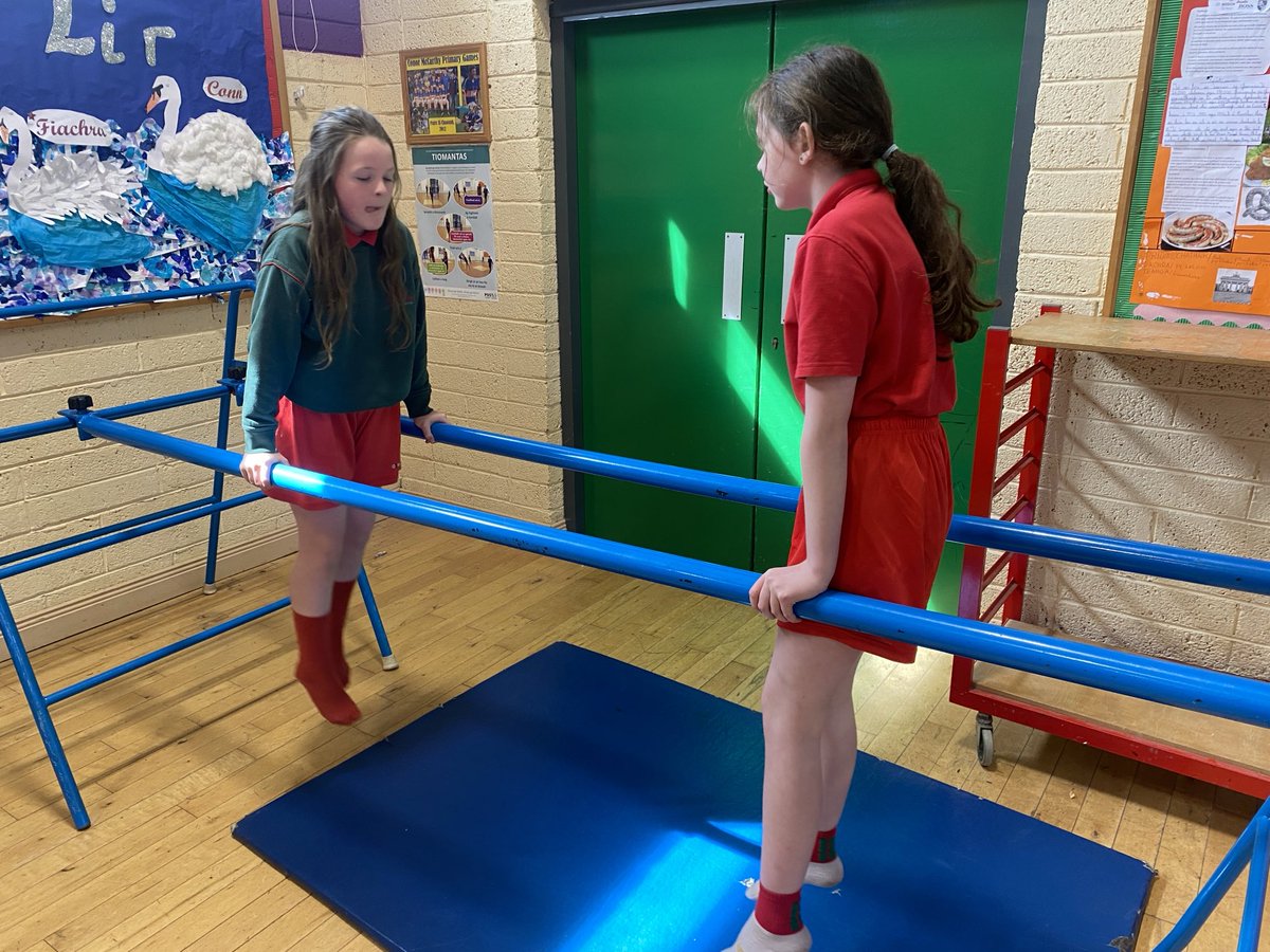 Bhain na páistí taitneamh agus tairbhe as an dtréimhse gleacaíochta le déanaí! 🤸‍♀️ ⁦<a href="/GaelscoilAU/">GaelscoilAU</a>⁩