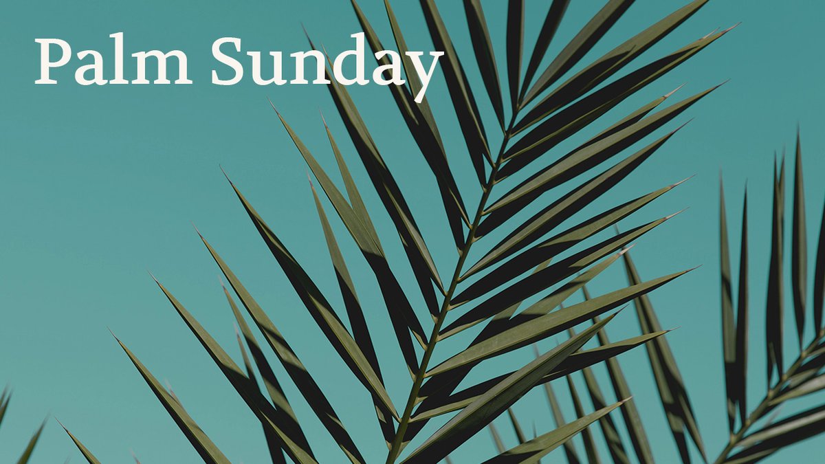 Video: Fr. Peter Sousa, #CSsR, reflects on the readings for Palm Sunday.   

 Link: youtube.com/watch?v=g3zrhp…

#Lent #Catholic #Redemptorists #Reflection