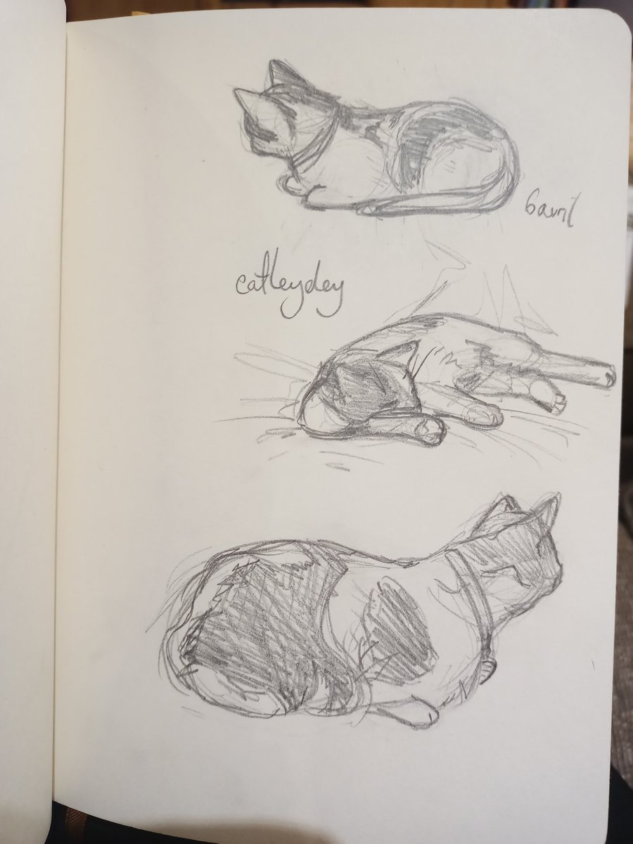 Catleydey's tweet photo. Le chat à mon amie ✨✨✨
#Cat #drawing https://t.co/GGDdZyTPx9