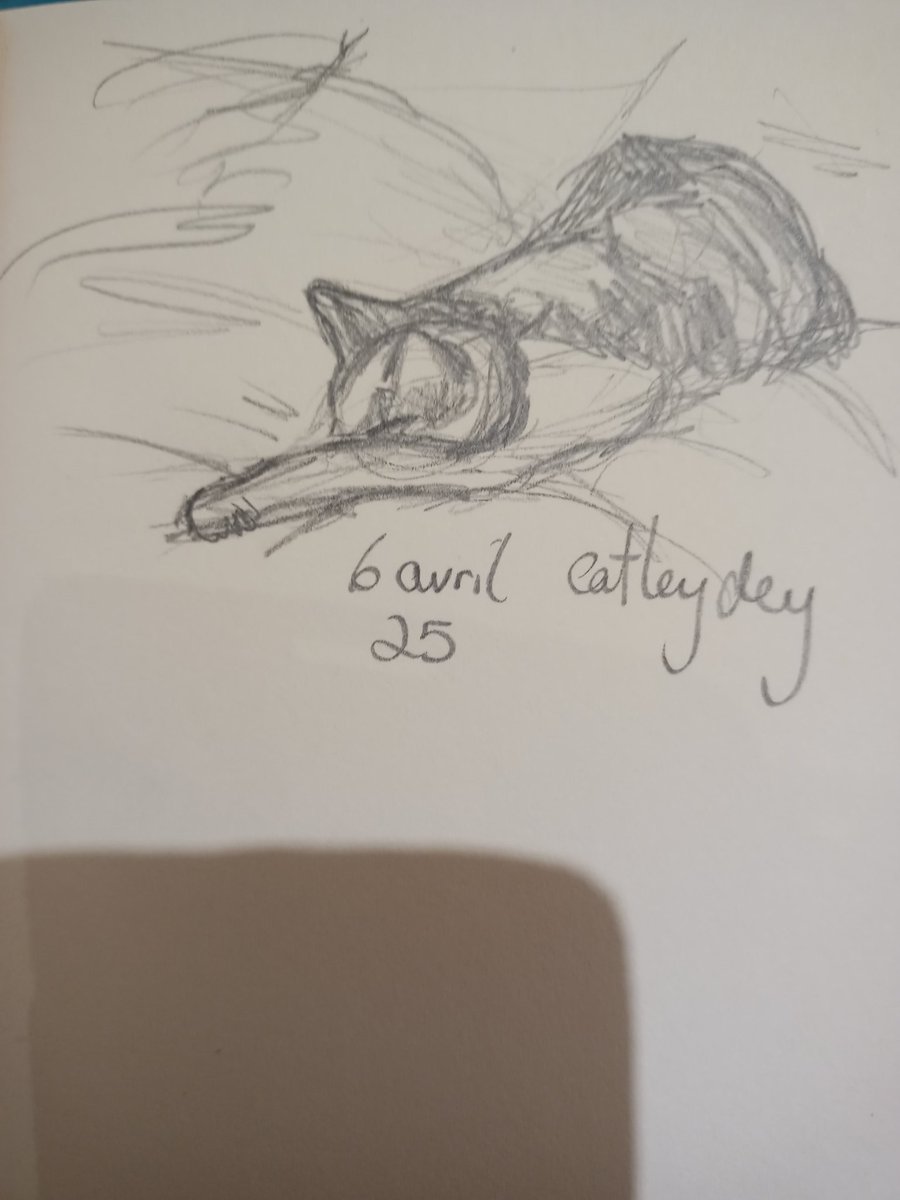 Catleydey's tweet photo. Le chat à mon amie ✨✨✨
#Cat #drawing https://t.co/GGDdZyTPx9