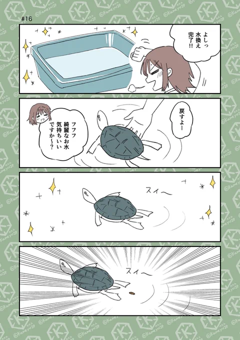 (2/4) 