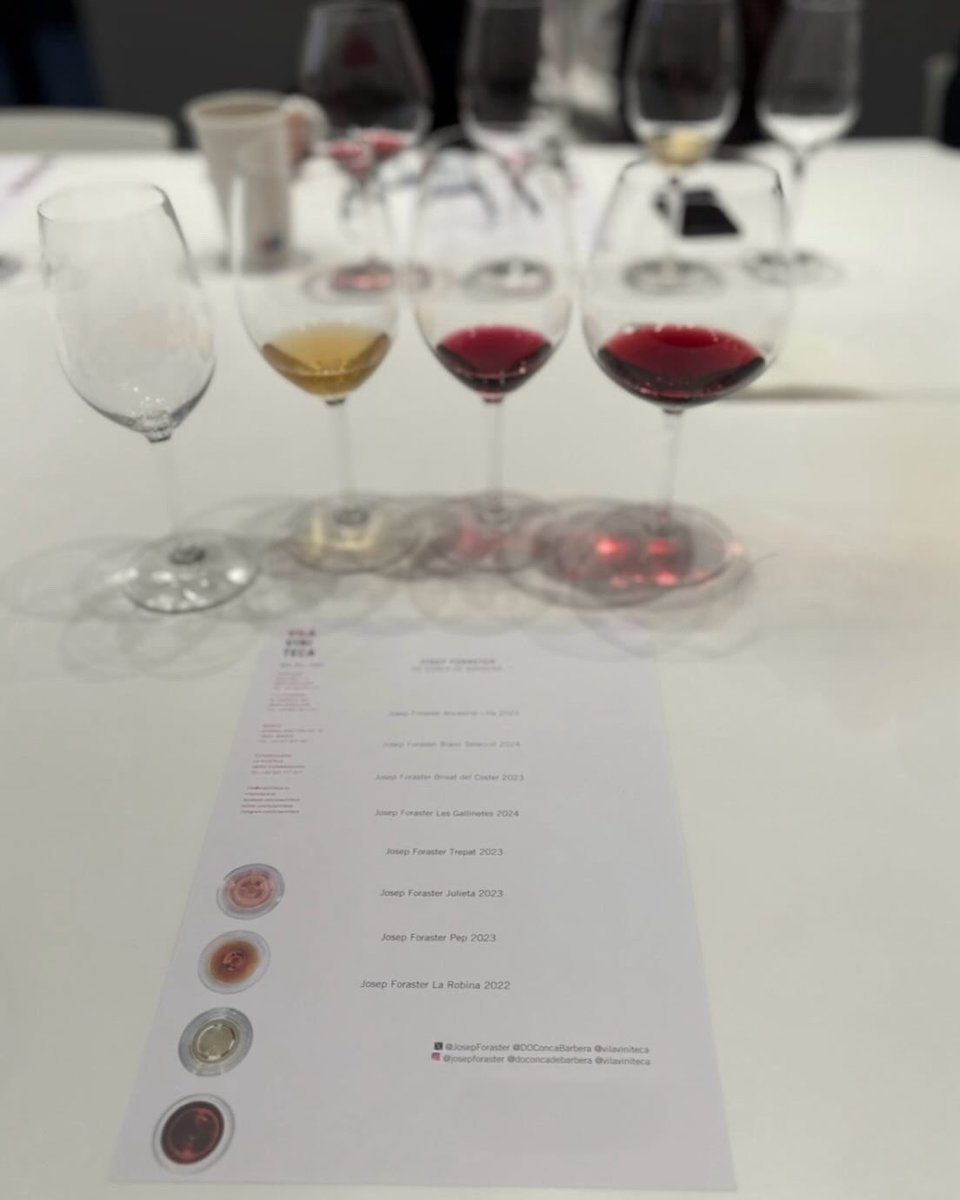 llmontia_vv's tweet photo. Recordando la súper cata de @JosepForaster 🍷🔝👏🏼
DO Conca de Barberà 📍
#vi #vino #wine #winelover #josepforaster #doconcadebarbera #instawine #cata #tast https://t.co/t0niFdL6do