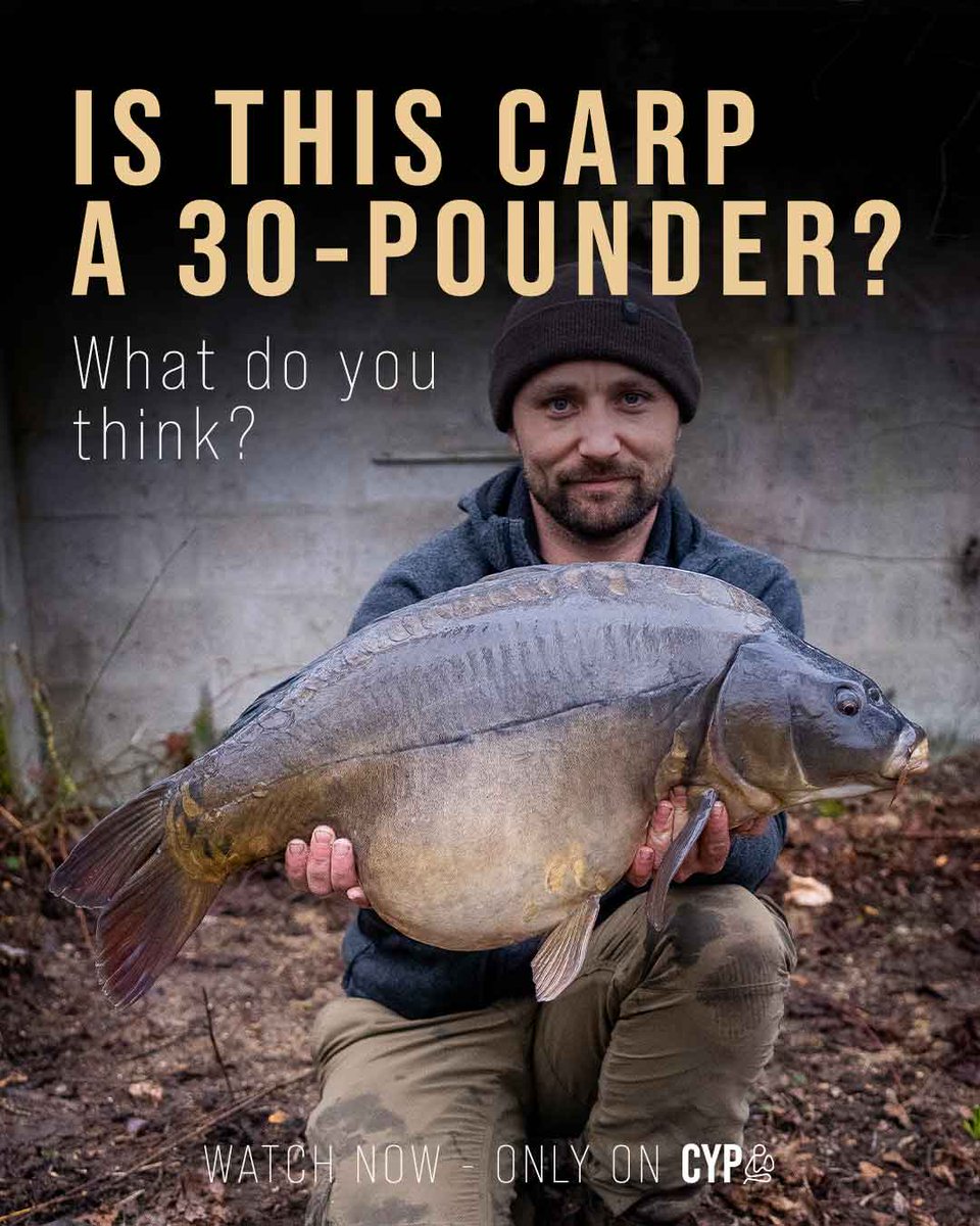 Cypography_carp's tweet photo. IS THIS CARP A 30-POUNDER? ⚖️

What do you think? 🤔

🎥 Only on Cypography 

#cypography #carpfishing #submerge #underwater #stokesvsgray https://t.co/AkcJBarfS7