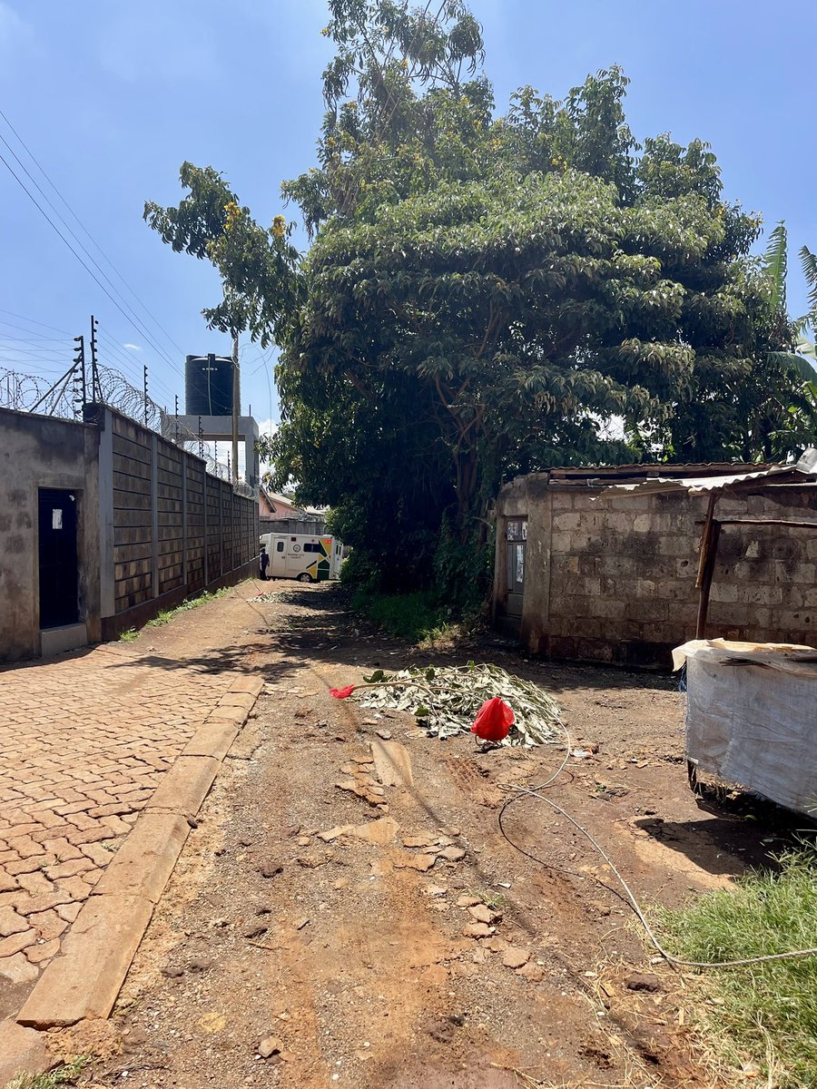Mwaka Joshua tweet media