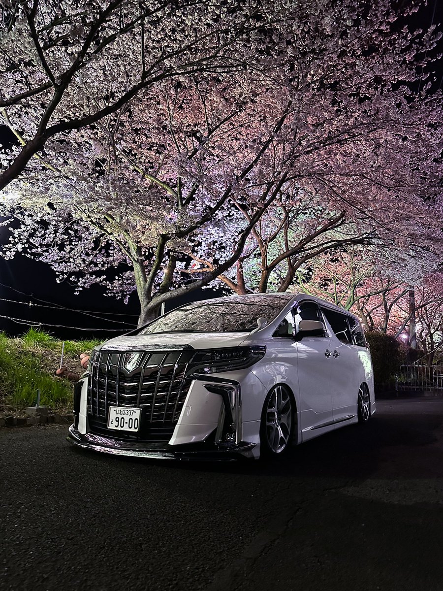 uchida___55's tweet photo. 桜と https://t.co/PveOv94guo