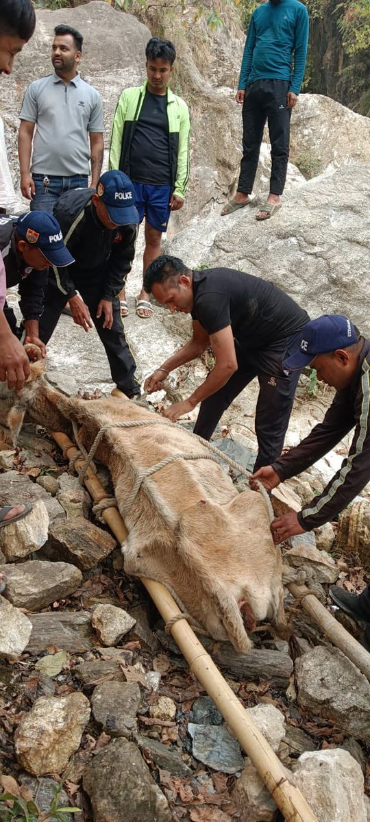 PithoragarhPol's tweet photo. बेजुबान के लिए देवदूत बनी थाना थल पुलिस/अग्निशमन टीम
#pithoragarhpolice #humaninkhaki https://t.co/I5DvvsDDVJ