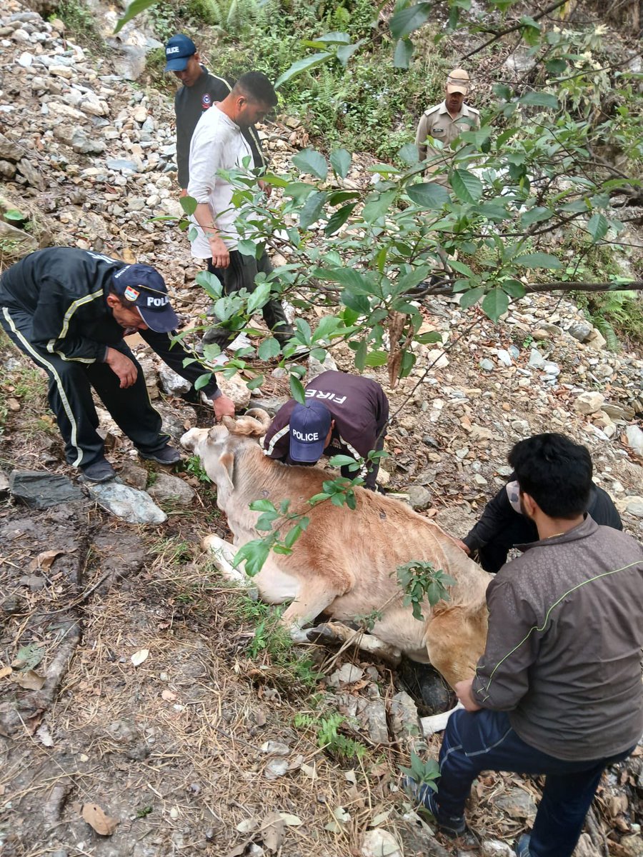 PithoragarhPol's tweet photo. बेजुबान के लिए देवदूत बनी थाना थल पुलिस/अग्निशमन टीम
#pithoragarhpolice #humaninkhaki https://t.co/I5DvvsDDVJ