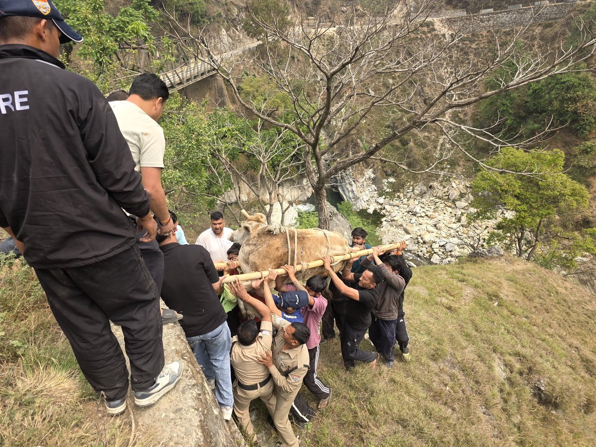 PithoragarhPol's tweet photo. बेजुबान के लिए देवदूत बनी थाना थल पुलिस/अग्निशमन टीम
#pithoragarhpolice #humaninkhaki https://t.co/I5DvvsDDVJ