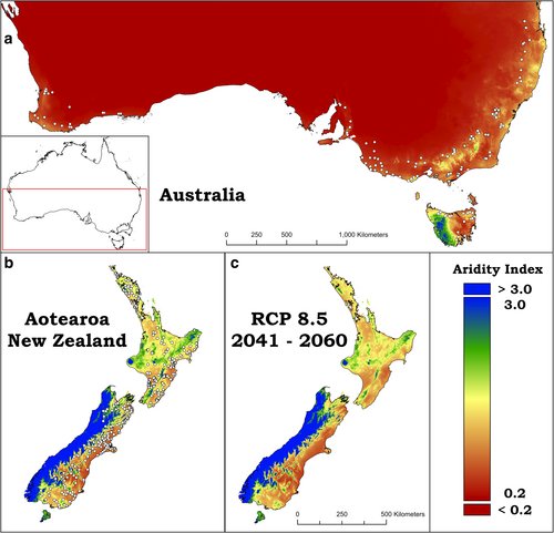 Prof Brajesh Singh tweet media
