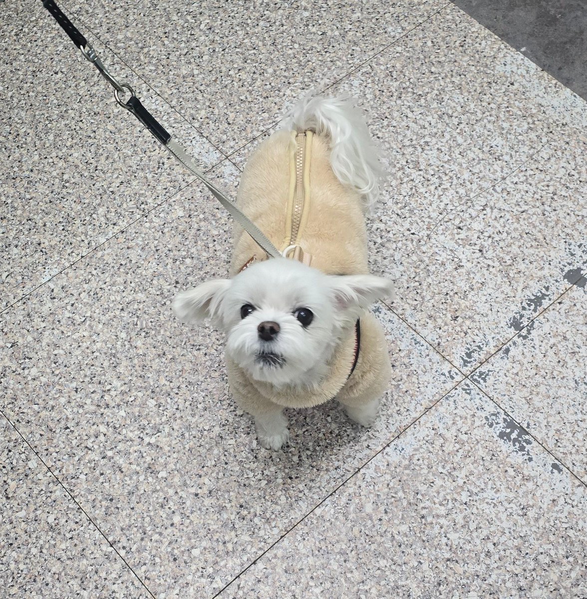 Naineh0's tweet photo. 늦어서 미안하다구햇잖아.그만뭐라해 https://t.co/6ojeQBHe0b