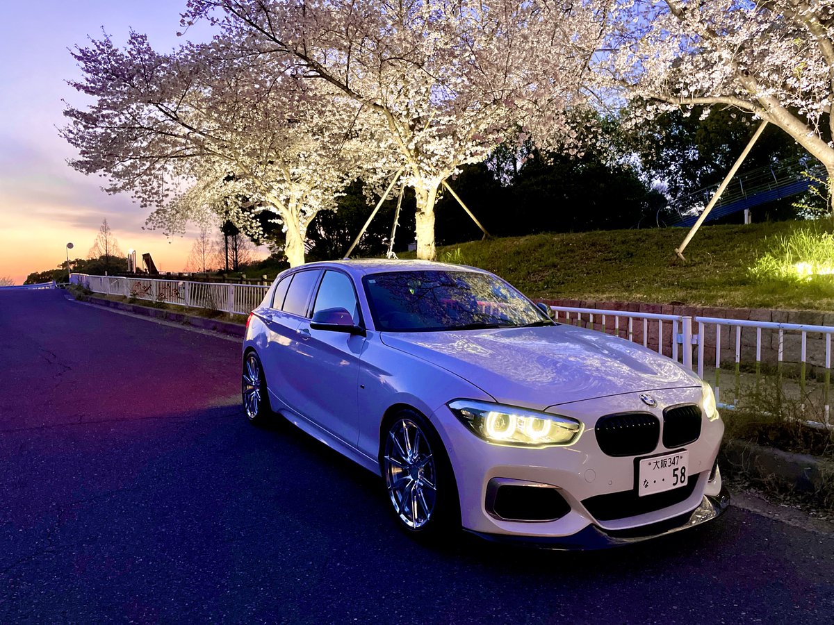 桜散る前に撮ってきたw