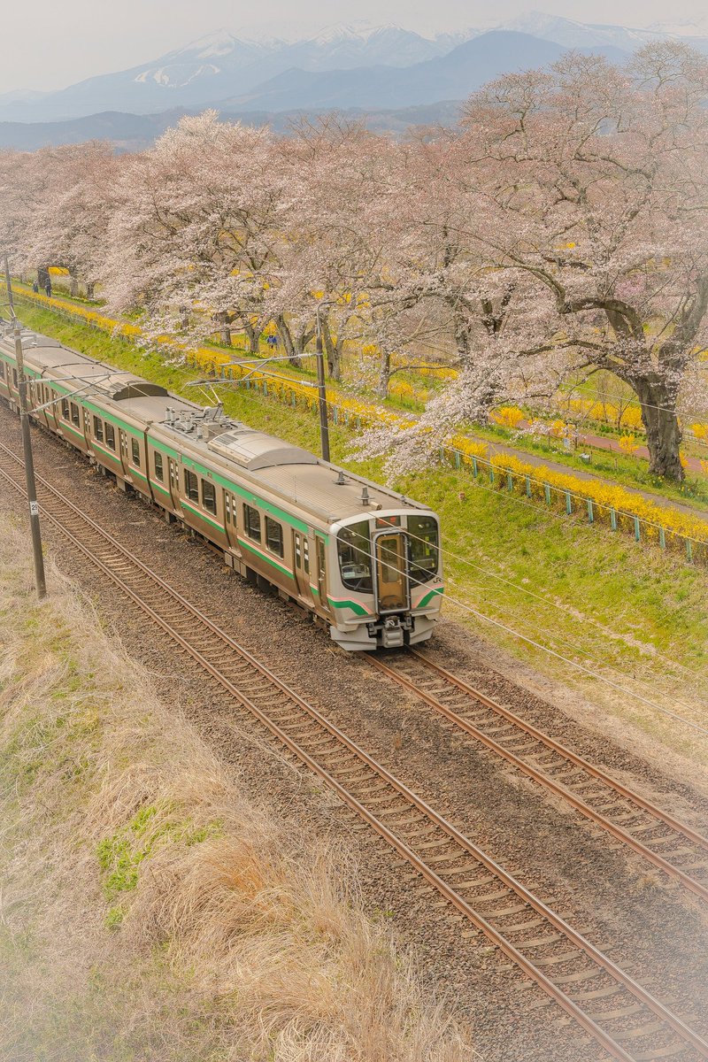 ryuuichi14's tweet photo. 宮城県 柴田町 一目千本桜🌸
昨日の時点で2〜3分咲き。
……少し早かった🥲 https://t.co/5SRAunAlFs