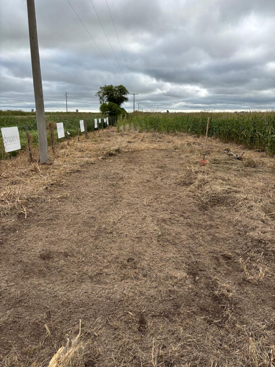 ImhoffDiego's tweet photo. Todo preparado para la charla a productores de nuestro distribuidor Bakiano Agro de la localidad de La Para (Cba), todos nuestros maíces con la tecnología más completa del mercado.
@ALZ_Agro 
@semillasnord https://t.co/q1JSsC2d8c