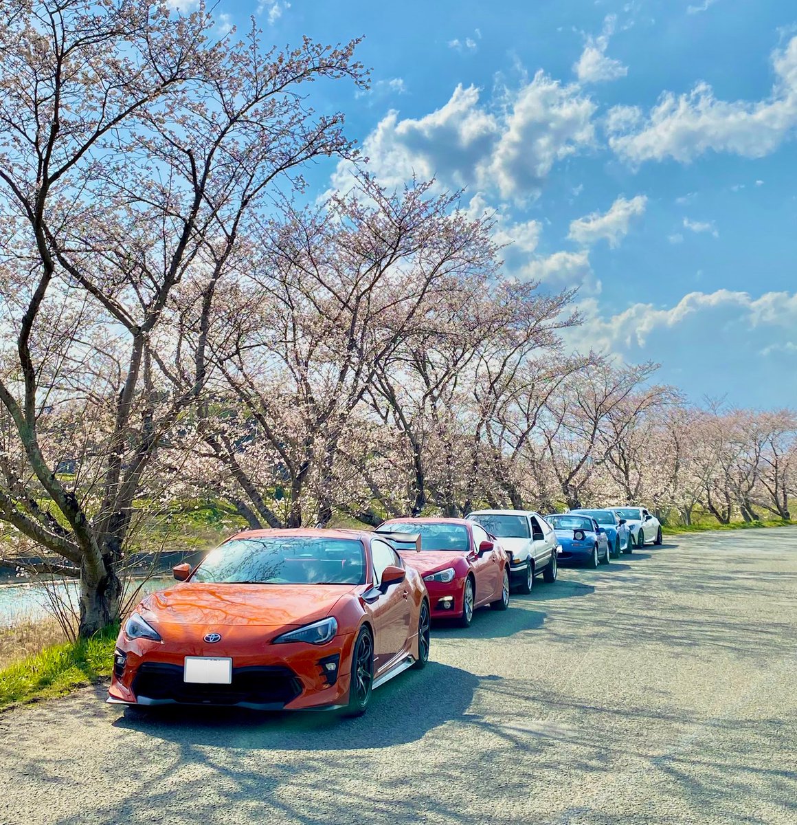 お花見ツーリング🌸🚗

きれいな桜並木で撮ってもらえて最高🥹
今回も楽しかった🌟🙏