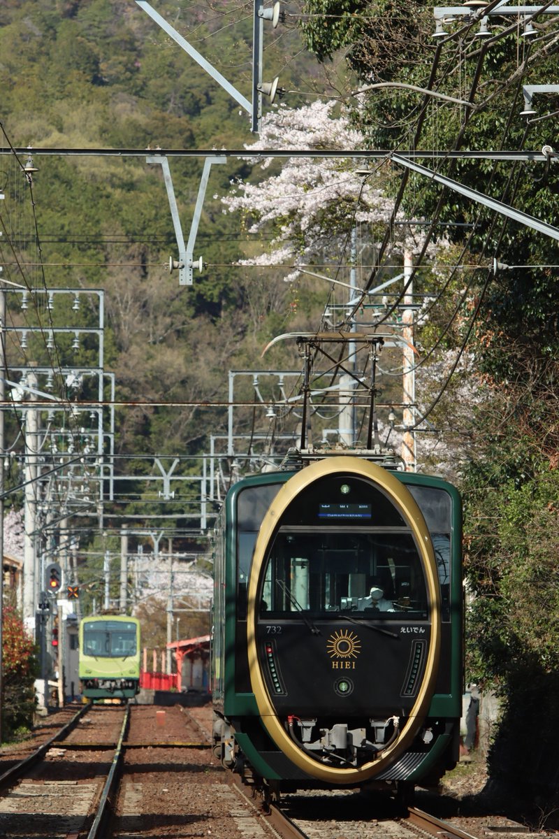 桜の見頃が続いています。
（2025年4月9日撮影）

#叡電 #叡山電車 #京都 #kyoto #桜