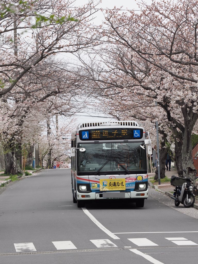 koro0914's tweet photo. #さくら
#京急バス
#omsystem
#om_1
M.ZUIKO DIGITAL ED 40-150mm F2.8 PRO https://t.co/TbfWVHhyhr