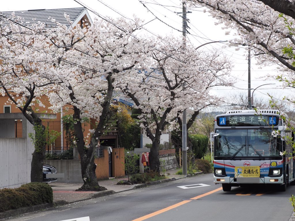 koro0914's tweet photo. #さくら
#京急バス
#omsystem
#om_1
M.ZUIKO DIGITAL ED 40-150mm F2.8 PRO https://t.co/TbfWVHhyhr