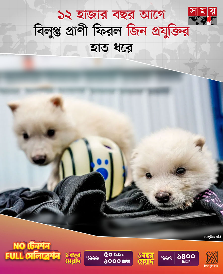 somoytv's tweet image. ১২ হাজার বছরেরও বেশি সময় আগে বিলুপ্ত হয়ে যাওয়া ‘ডায়ার উলফ’ নামে এক প্রজাতির বিশালদেহী নেকড়েকে পৃথিবীতে ফিরিয়ে আনা সম্ভব হয়েছে...

বিস্তারিত: somoynews.tv/news/2025-04-0…

#scienceandtechnology #direwolf #Genetechnology #somoytv