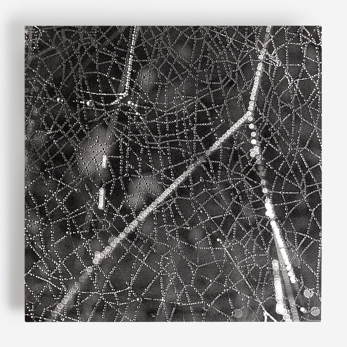 RS Tangent re-imagines dub techno on 'Crinkle', a set of twisted warehouse melters that apply advanced dub logic to pointillistic technoid rhythms. RIYL Rhyw, Peder Mannerfelt, Rrose, new for TTT

bit.ly/3G1reUI