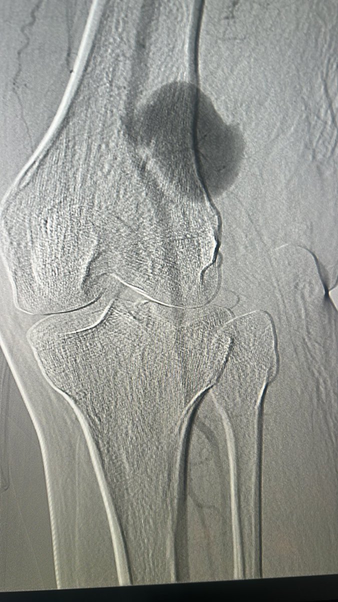 Leonardo Randial tweet media