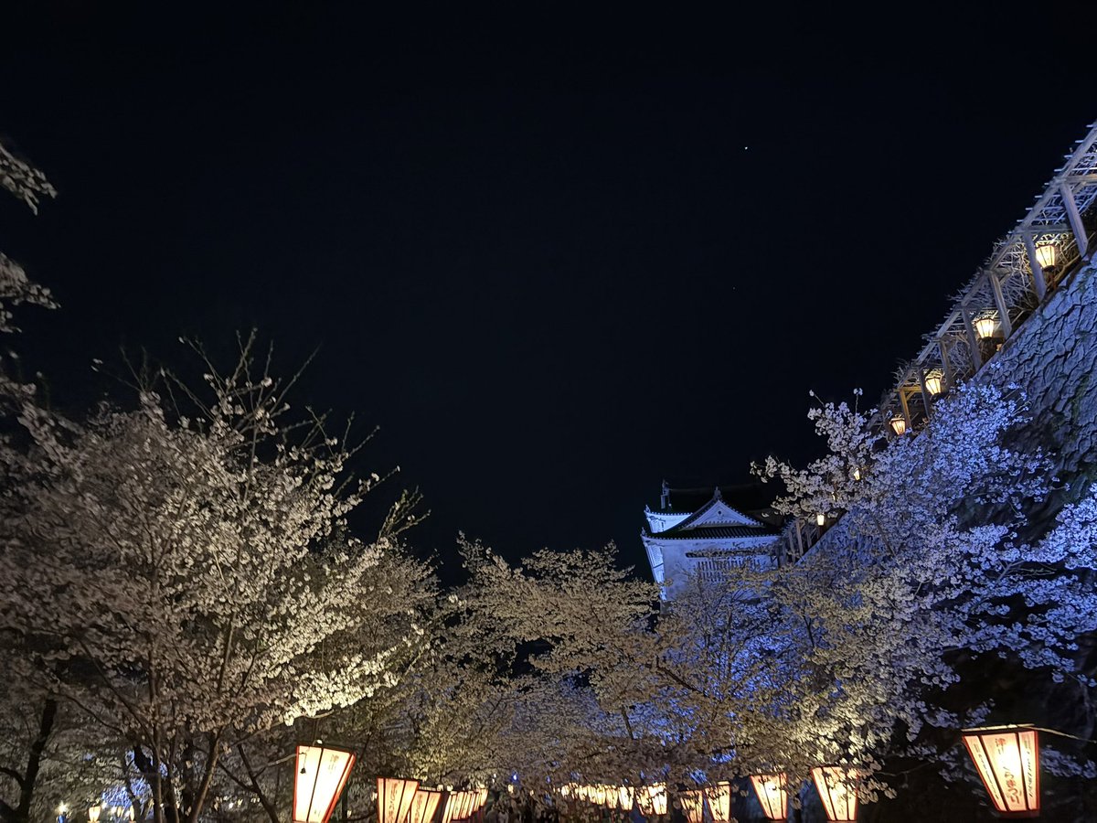 ZRV0115's tweet photo. 夜桜🌙｡❀ 𓂃𓈒𓏸*🌸 https://t.co/ZASVDxAJsh