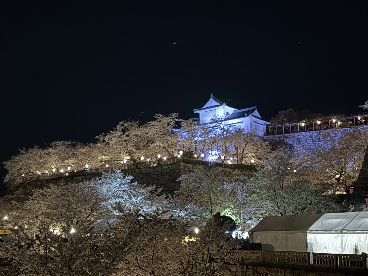 ZRV0115's tweet photo. 夜桜🌙｡❀ 𓂃𓈒𓏸*🌸 https://t.co/ZASVDxAJsh