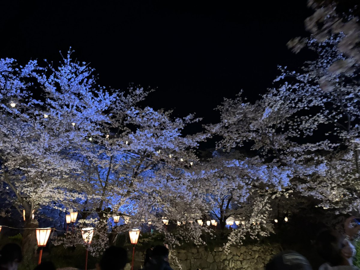 ZRV0115's tweet photo. 夜桜🌙｡❀ 𓂃𓈒𓏸*🌸 https://t.co/ZASVDxAJsh