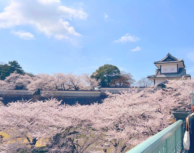 コスプレイヤーここねのTwitter画像19