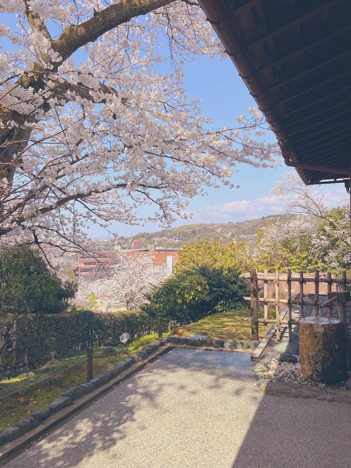 コスプレイヤーここねのTwitter画像21