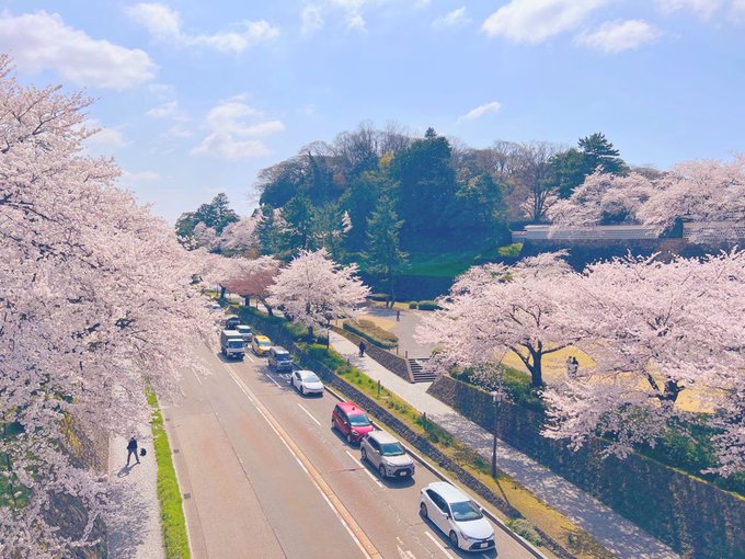 コスプレイヤーここねのTwitter画像20