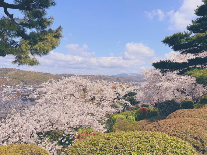 コスプレイヤーここねのTwitter画像22