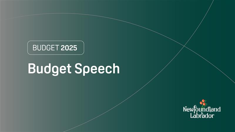 This afternoon, Finance Minister Siobhan Coady will present #NLBudget25. 

Watch the Budget Speech live at youtube.com/GovNL starting at 2 p.m. NDT.