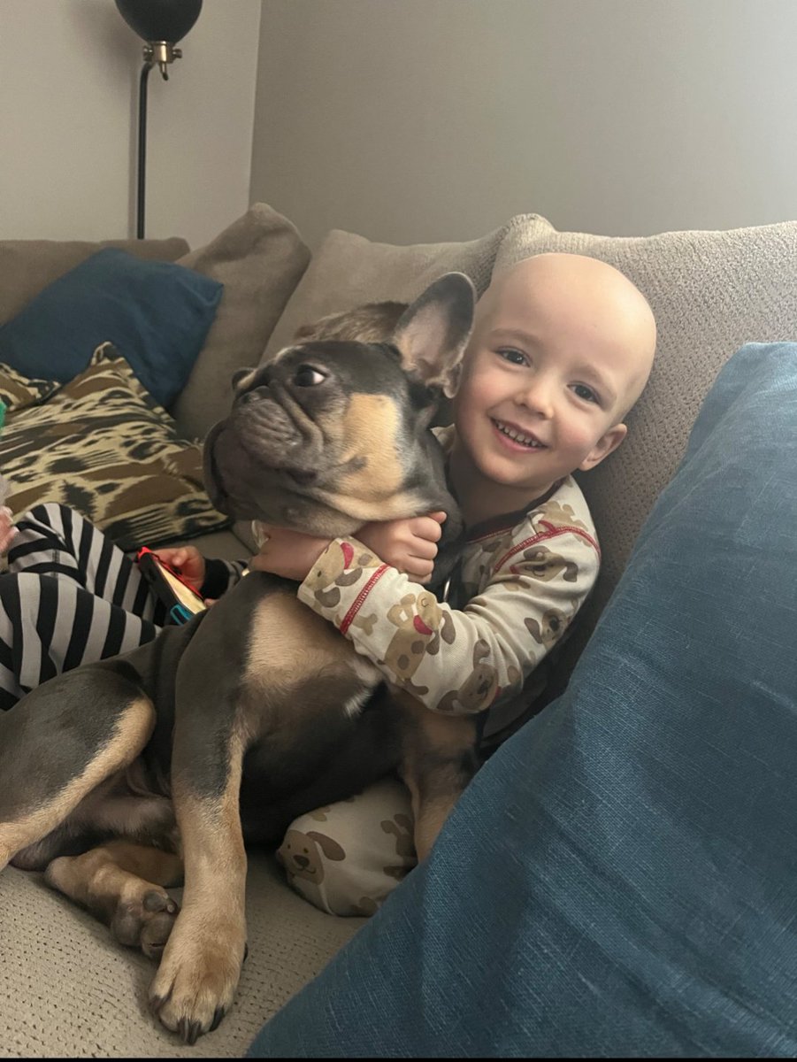 AmandaFoster125's tweet photo. Hi @drpatrick writing on behalf of my 3 yr old son.  He has an extremely rare and aggressive brain cancer, ETMR. Please would you be willing to review his case? He has undergone 2 major brain surgeries, chemo &amp; radiation.  Please can you help him? He is our life #bioshield https://t.co/zOtvEuTP5V