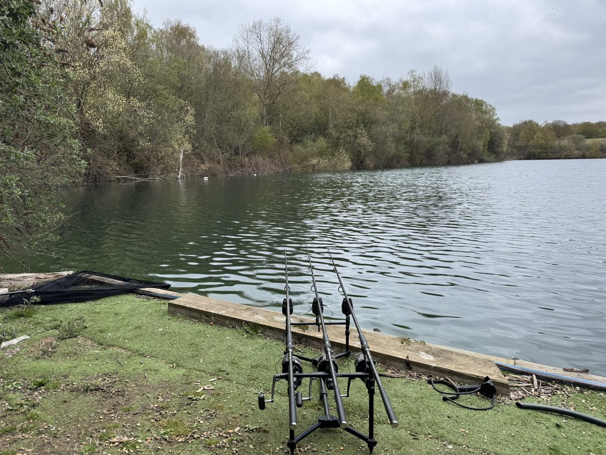 Rods are out literally lost one 2 mins after putting it out while still baiting up 😩
Hopefully there's another chance or two