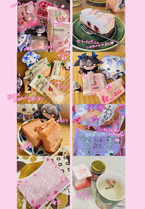 今年のさくらです