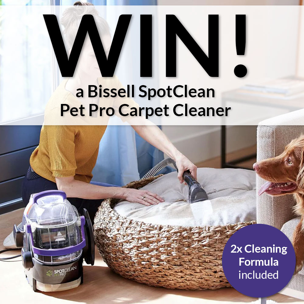 LAST CHANCE to enter our #prizedraw to #win a Bissell SpotClean Pet Pro Carpet Cleaner - Follow us <a href="/GilesElectrical/">Gerald Giles</a> &amp; repost!

Best of luck 🤞🛍
Entries close 14.04.25

T&amp;Cs bit.ly/Bissell-15588-…

#comp #bissell #springcleaning #petowners