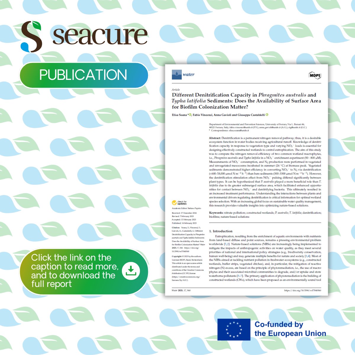 SEACURE Project 🇪🇺 (@seacureproject) on Twitter photo 📄Our colleagues from <a href="/UniFerrara/">Università Ferrara</a> have published a pivotal study on how different 🌱plants species optimize nitrate removal, providing key inisghts on NBS design to enhance freshwater quality & combat eutrophication🌊
👉 Read & download the article now
📥 doi.org/10.3390/w17040… 📄Our colleagues from <a href="/UniFerrara/">Università Ferrara</a> have published a pivotal study on how different 🌱plants species optimize nitrate removal, providing key inisghts on NBS design to enhance freshwater quality & combat eutrophication🌊
👉 Read & download the article now
📥 doi.org/10.3390/w17040…