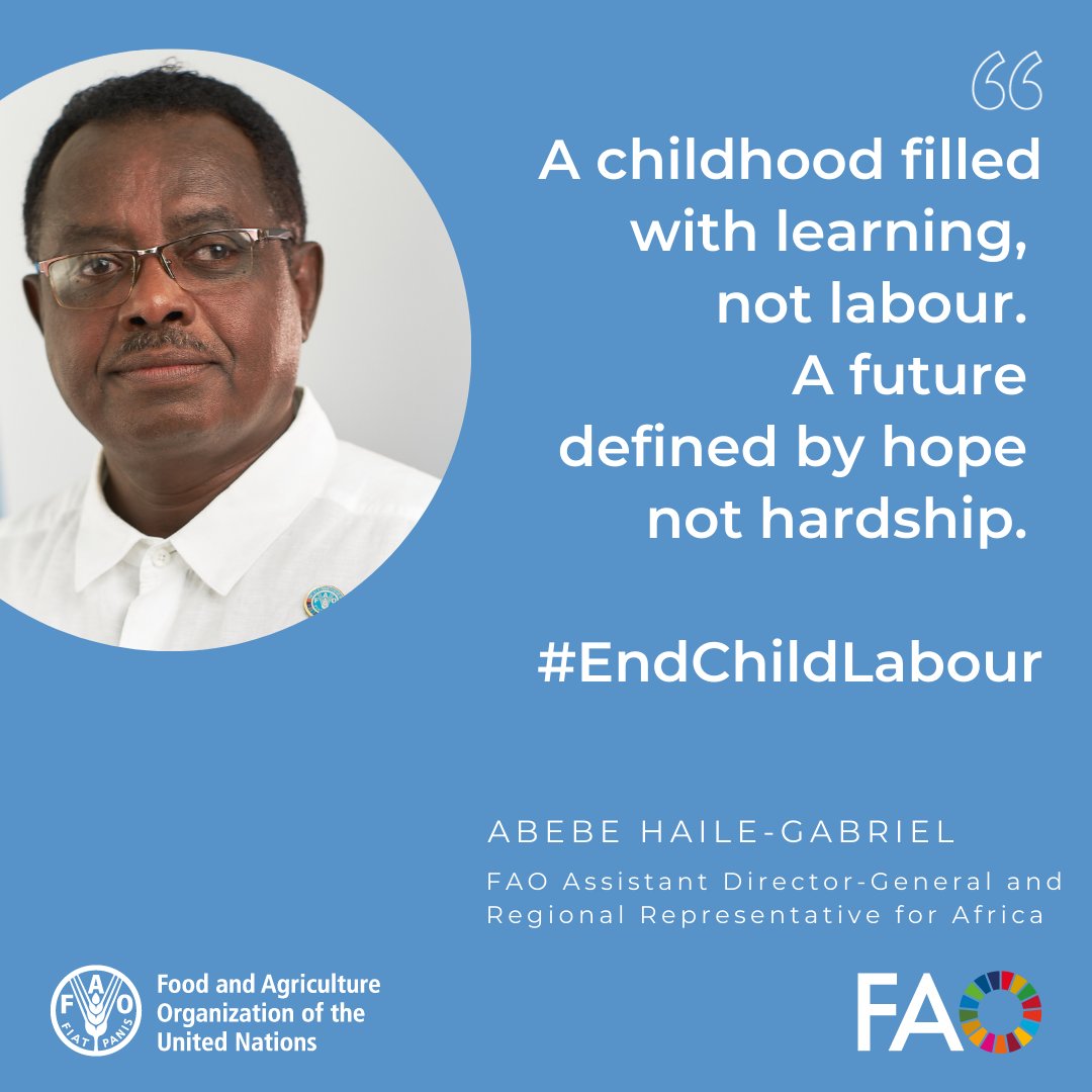 FAO in Africa (@faoafrica) on Twitter photo At #ARFSD11, FAO's <a href="/AbebeHGabriel/">Abebe Haile-Gabriel</a> had a clear call on ending child labour in agric in Africa.
Children deserve a childhood filled with learning, not labour. A future defined by hope, not hardship.
Targeted investments are needed & persistent social norms must be challenged. At #ARFSD11, FAO's <a href="/AbebeHGabriel/">Abebe Haile-Gabriel</a> had a clear call on ending child labour in agric in Africa.
Children deserve a childhood filled with learning, not labour. A future defined by hope, not hardship.
Targeted investments are needed & persistent social norms must be challenged.