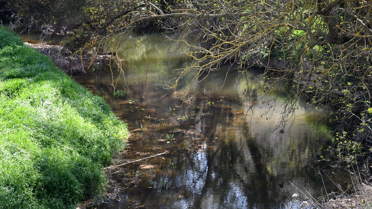 viladetora's tweet photo. Quin goig veure el Llanera curull d'aigua quinze dies després de les pluges #bondia
@apac_tora @valldellobregos  @SomSegarra  @catexperience  @aigua_cat @lasegarra  @xavisunyer @JmSantesm @Josep_A_Vilalta https://t.co/rL6LH3svto