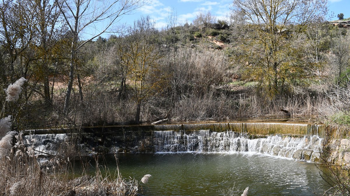 viladetora's tweet photo. Quin goig veure el Llanera curull d'aigua quinze dies després de les pluges #bondia
@apac_tora @valldellobregos  @SomSegarra  @catexperience  @aigua_cat @lasegarra  @xavisunyer @JmSantesm @Josep_A_Vilalta https://t.co/rL6LH3svto