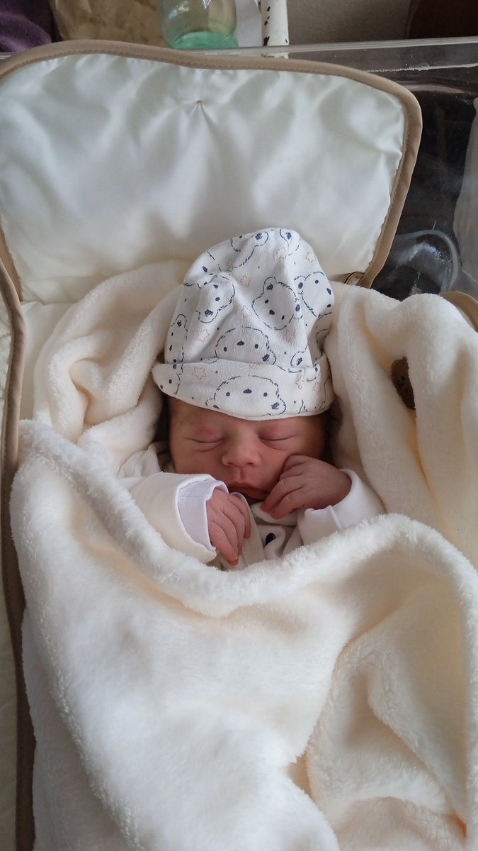 ErGerman tweet media