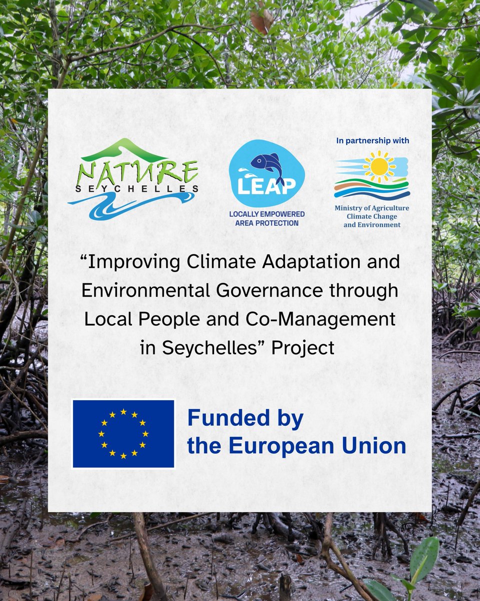 Today, we’re digging into one of the most vibrant habitats on our planet: #wetland mud, which often comes with a ‘rotten egg’ odour. But have you ever wondered why some wetlands have this smell? 🤔 Swipe to learn more 👇