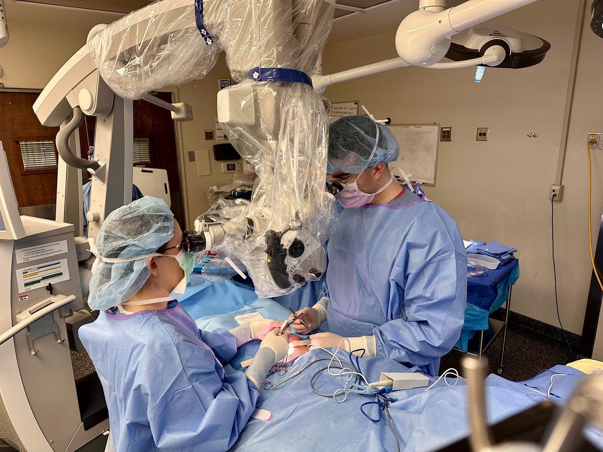UofL Urology tweet media