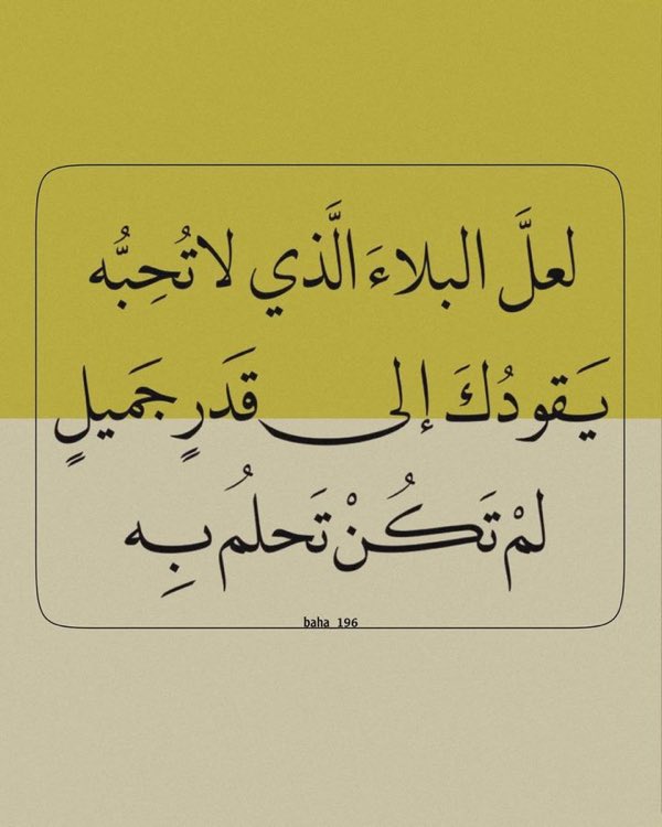 . tweet media