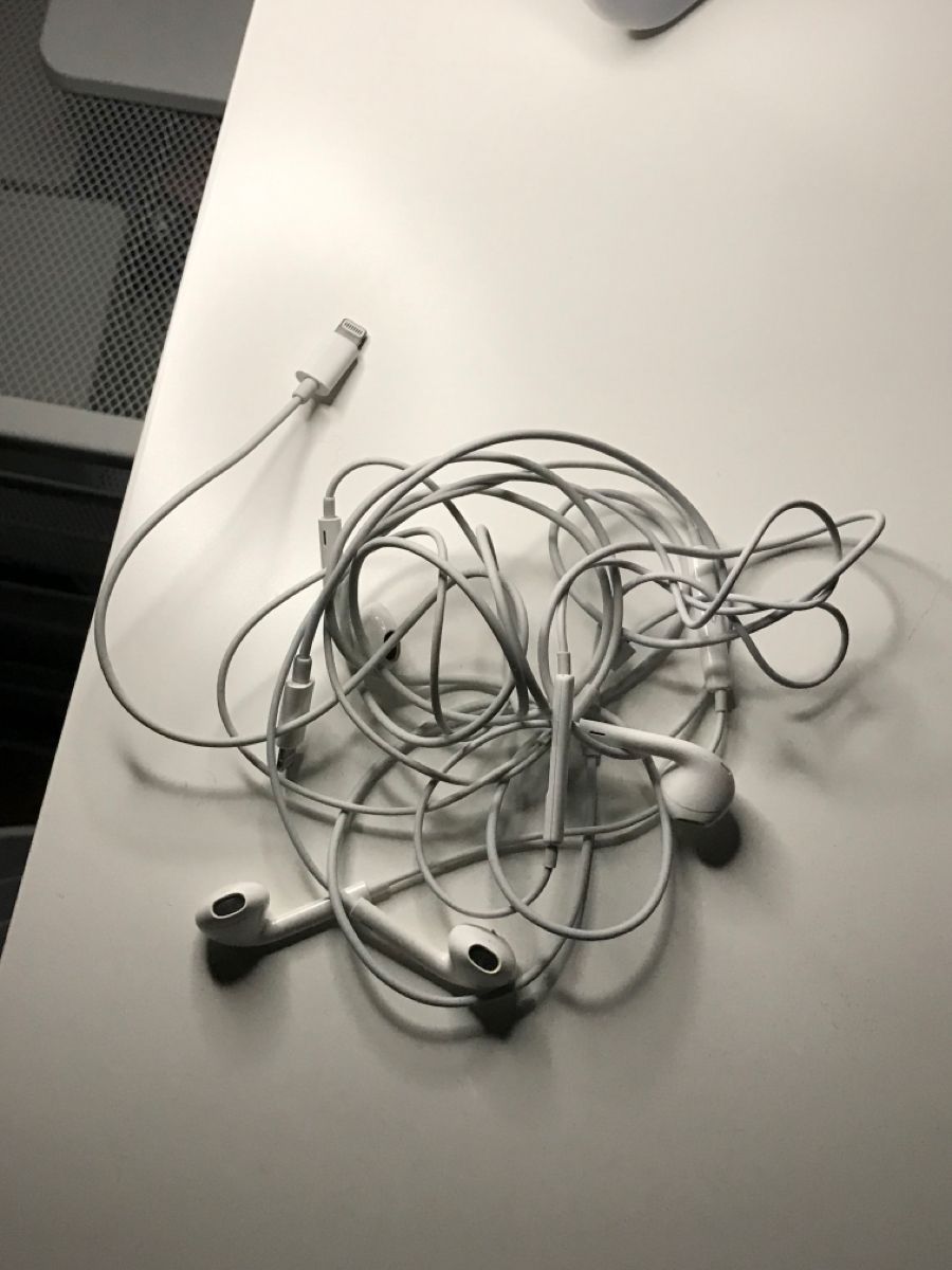 bonni of the day ୧⍤⃝📷

today's plan ? act like im the only person to exist in my world.