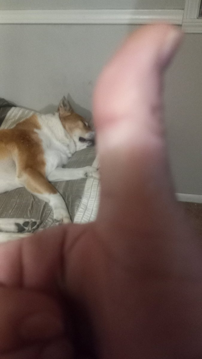 Scott Lasky tweet media